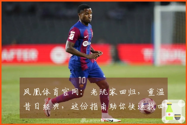 凤凰体育官网：老玩家回归，重温昔日经典，这份指南助你快速找回游戏节奏与快乐