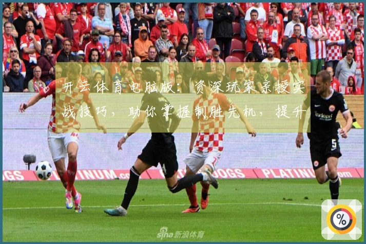 开云体育电脑版：资深玩家亲授实战技巧，助你掌握制胜先机，提升游戏体验
